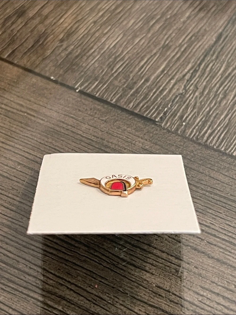 Vintage Masonic Shriners OASIS Gold-tone & Enamel Lapel Pin